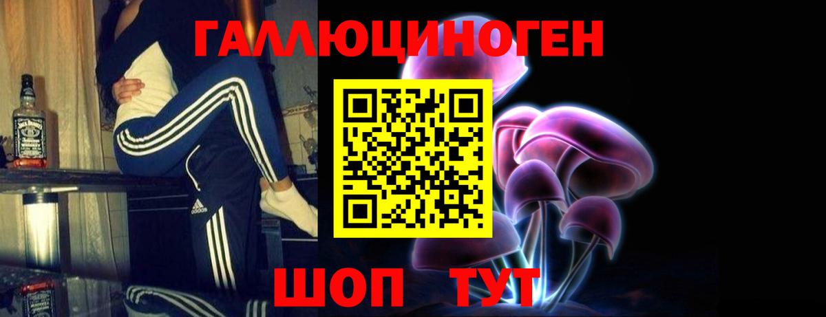 Белореченск  Галлюциногенные грибы Psilocybe  Вход с VPN 
